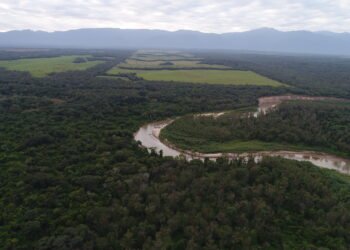 El río olvidado: el documental que visibiliza en 18 minutos el poder y la magia del San Francisco