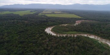 El río olvidado: el documental que visibiliza en 18 minutos el poder y la magia del San Francisco