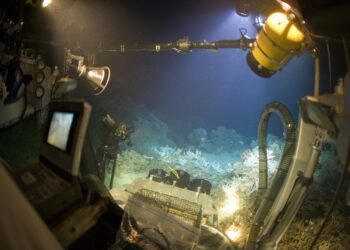 Recortes de EE.UU. en investigación marina amenazan la salud de los océanos