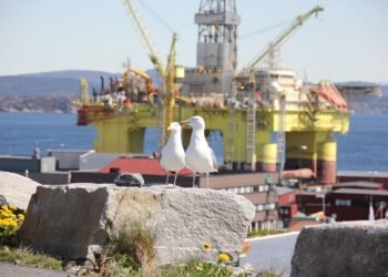 Activistas climáticos holandeses se preparan para una nueva batalla legal contra Shell