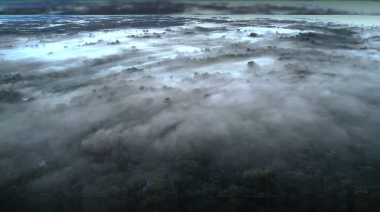 Los ríos voladores de la Amazonía y su importancia en el ciclo del agua y la biodiversidad