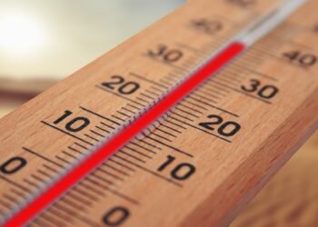 El calor extremo se instala en EE.UU. y se reafirma como la principal causa de muerte vinculada al clima