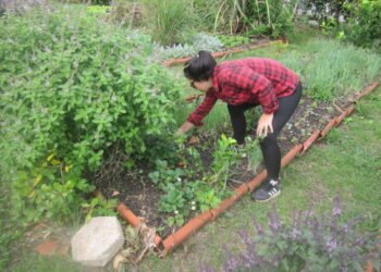 Cómo Florianópolis, la capital verde de Brasil, convierte la basura en recursos