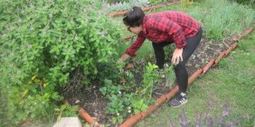Cómo Florianópolis, la capital verde de Brasil, convierte la basura en recursos