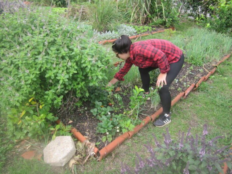 Cómo Florianópolis, la capital verde de Brasil, convierte la basura en recursos