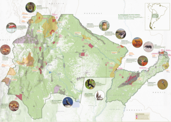 Con más de 180 áreas protegidas, el Norte Grande de Argentina es clave para alcanzar los compromisos ambientales del país