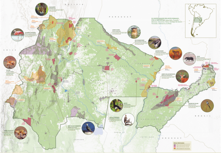 Con más de 180 áreas protegidas, el Norte Grande de Argentina es clave para alcanzar los compromisos ambientales del país