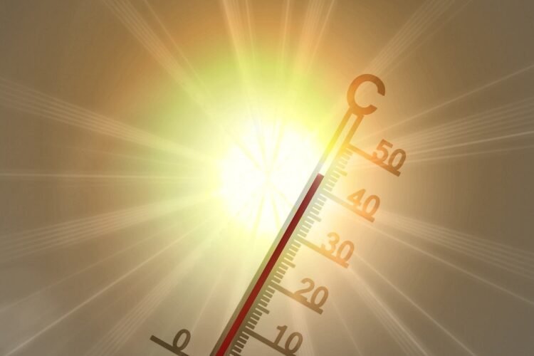 Nuevo reporte de Copernicus muestra que el pasado mayo fue el segundo más cálido hasta ahora