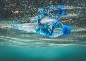 La desplastificación ha sido el tema del mes. ¿Qué dice MLS al respecto? Foto: Naja Bertolt Jensen/ Unsplash