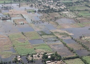 El riesgo natural es riesgo financiero