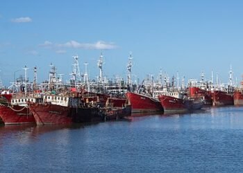 Argentina refuerza su lucha contra la pesca ilegal: del Atlántico Sur a la OMC