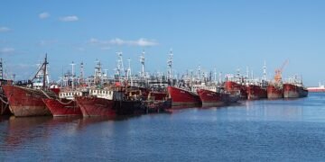 Argentina refuerza su lucha contra la pesca ilegal: del Atlántico Sur a la OMC