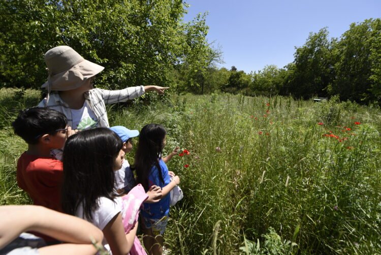 Vacaciones de invierno: una historia inspiradora y dos actividades gratuitas para las infancias