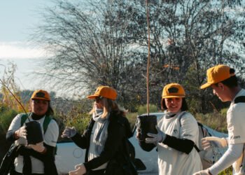 Reforestación y limpieza en el Parque Pereyra Iraola: Trown recupera un espacio degradado con 90 voluntarios