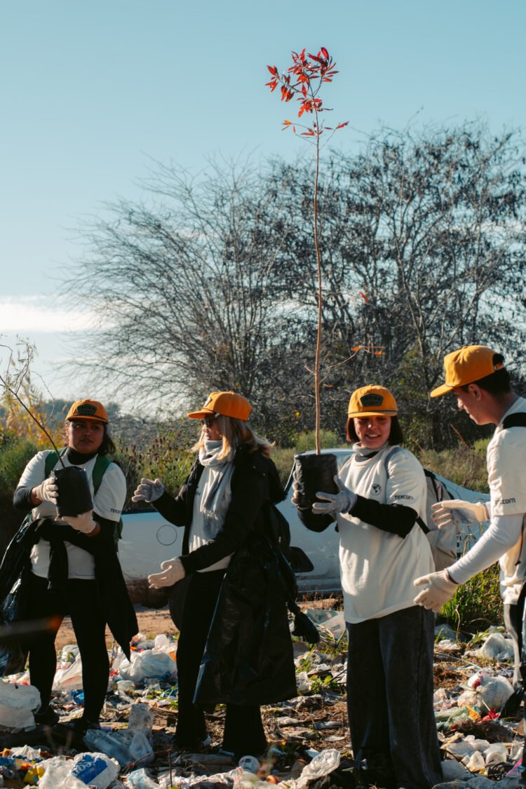Reforestación y limpieza en el Parque Pereyra Iraola: Trown recupera un espacio degradado con 90 voluntarios