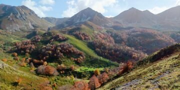 Una investigación revela que los bosques con más diversidad son más estables frente el cambio climático