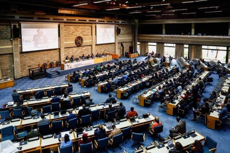 Ley de Ecocidio: nueva alianza por la justicia ambiental entre África y América Latina