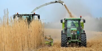 Crisis del biodiesel: pymes denuncian perjuicio millonario en favor de petroleras