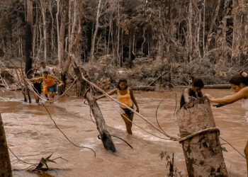 Malaria en la Amazonía: una enfermedad que crece impulsada por la deforestación