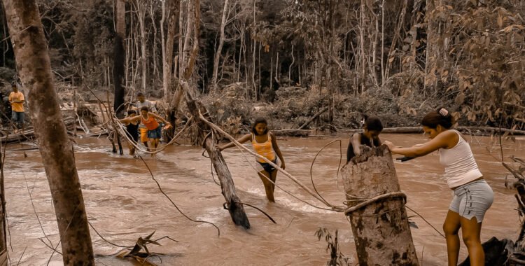 Malaria en la Amazonía: una enfermedad que crece impulsada por la deforestación