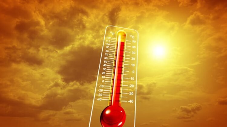 ¿Hasta qué punto conocemos la relación entre el cambio climático y las olas de calor?