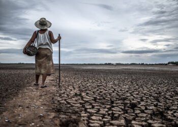 La sequía global empuja a millones de personas al límite del hambre, revelando una crisis climática que no da tregua