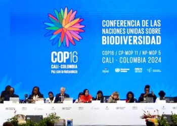 El “Fondo Cali” para la naturaleza aún sin financiamiento: la industria pone palos en la rueda