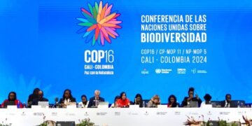 El “Fondo Cali” para la naturaleza aún sin financiamiento: la industria pone palos en la rueda