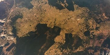 Amazonía en juego: expertos, parlamentarios e indígenas llaman a enfrentar la expansión fósil en la región