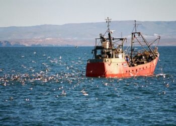 Barcos fantasmas y permisos sin control: la trama oculta de la pesca industrial