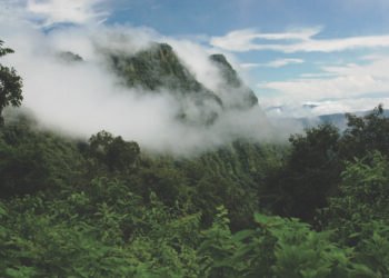 Día de la Reserva de Biosfera de las Yungas