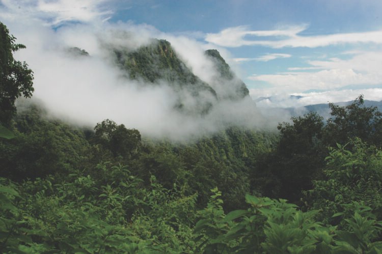 Día de la Reserva de Biosfera de las Yungas