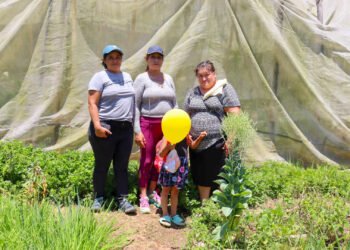 Huertos de autonomía: mujeres que siembran futuro
