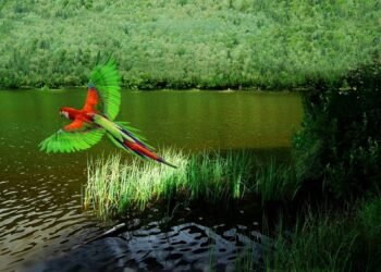 El cambio climático está reduciendo drásticamente las aves tropicales