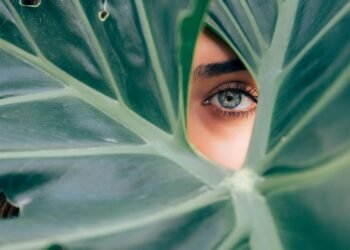 L’Oréal lanza su primera convocatoria para innovaciones sostenibles