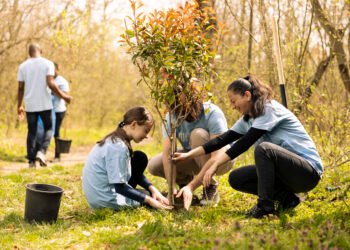 Día del árbol: Sudamérica posee el mayor potencial del mundo para la forestación sostenible