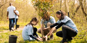 Día del árbol: Sudamérica posee el mayor potencial del mundo para la forestación sostenible