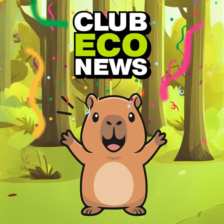¡Bienvenido, Club EcoNews!