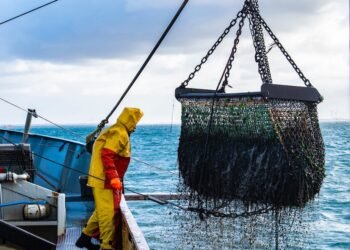 Se eliminan los subsidios a la pesca ilegal: un hecho histórico para el Atlántico Sur