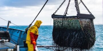 Se eliminan los subsidios a la pesca ilegal: un hecho histórico para el Atlántico Sur