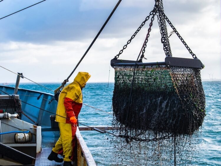 Se eliminan los subsidios a la pesca ilegal: un hecho histórico para el Atlántico Sur