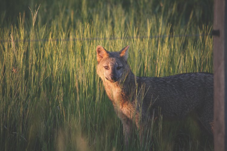 Producción y naturaleza en diálogo: Corrientes será sede regional del Programa Paisaje Productivo Protegido