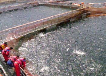 ¿Quiénes son los dueños de Chile? El poder real detrás del desarrollo, la riqueza y el territorio