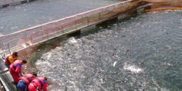 ¿Quiénes son los dueños de Chile? El poder real detrás del desarrollo, la riqueza y el territorio