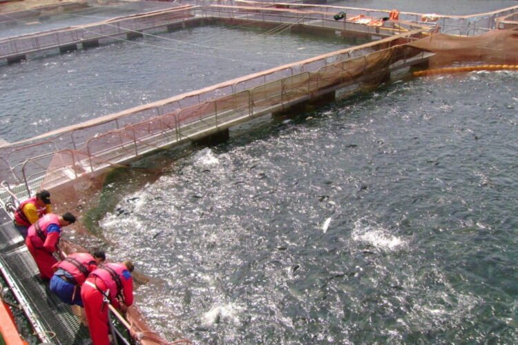 ¿Quiénes son los dueños de Chile? El poder real detrás del desarrollo, la riqueza y el territorio