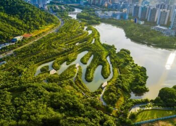 Ciudades esponja: cómo las soluciones locales pueden inspirar un modelo global