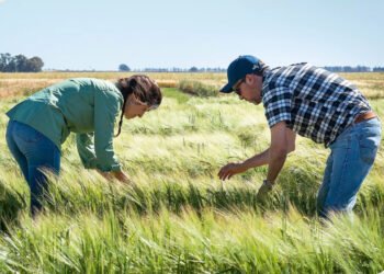 Cervecería y Maltería Quilmes: acción climática con compromiso a largo plazo