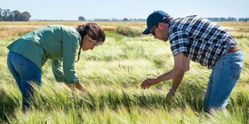 Cervecería y Maltería Quilmes: acción climática con compromiso a largo plazo