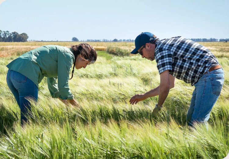Cervecería y Maltería Quilmes: acción climática con compromiso a largo plazo