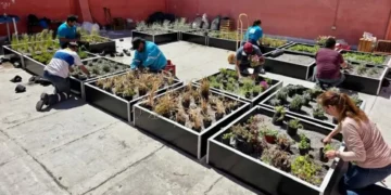 Hito ambiental en Mendoza: la ciudad lanza su primera red de terrazas vivas